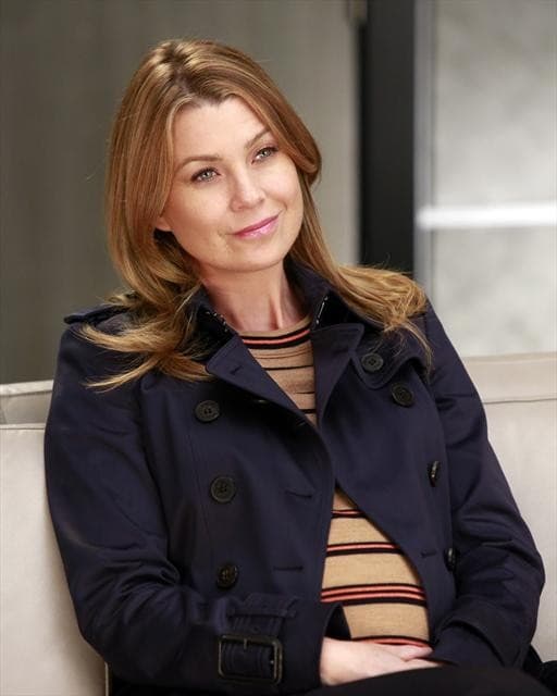 Ellen Pompeo as Meredith Grey