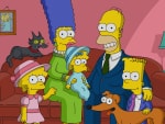 Documentary Crime - The Simpsons
