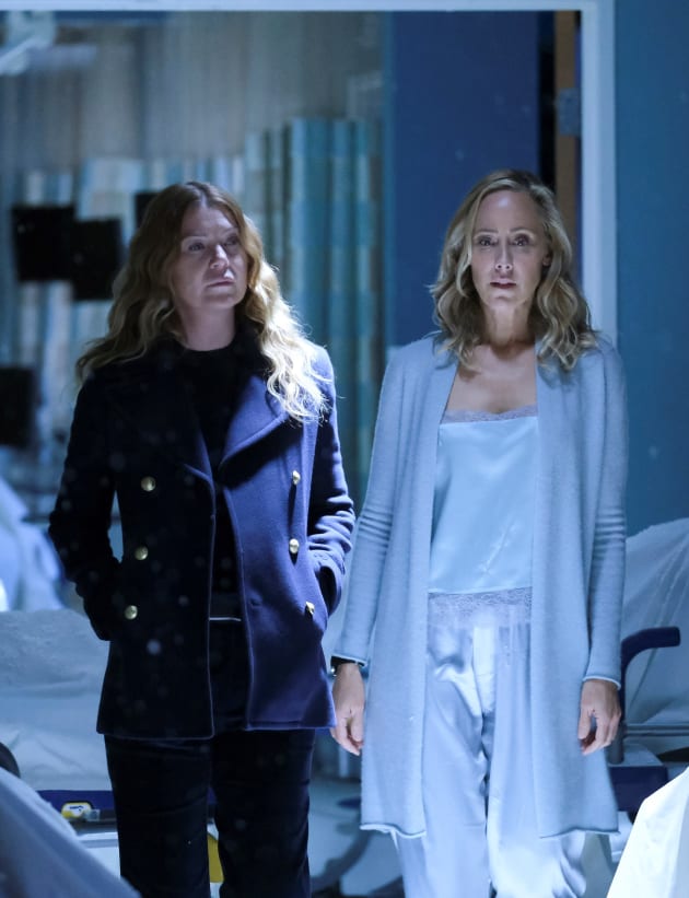 Mer Guides - Tall - Grey's Anatomy Season 17 Episode 9
