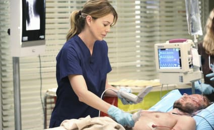 Ellen Pompeo to Quit Acting After Grey's Anatomy?