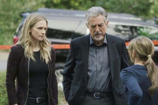 Criminal Minds Season 13 Episode 20 Review All You Can Eat TV