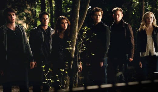 TVD Gang