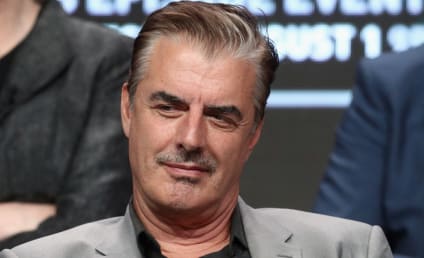 Chris Noth, Sex and the City Star, Accused of Sexual Assault by Two Women
