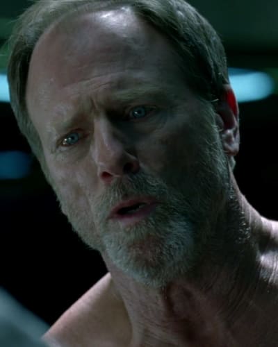 Louis Herthum Westworld