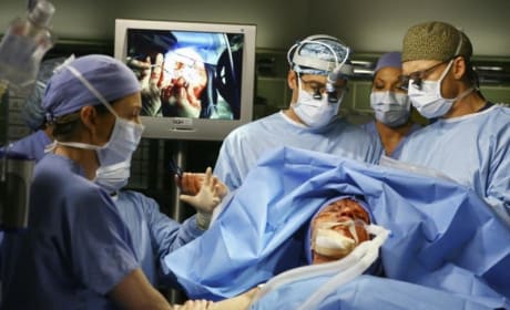 Grey's anatomy season 5 episode 24 watch online 2025