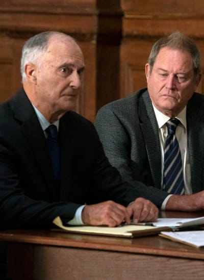 Retrying a Case - Law & Order: SVU Season 23 Episode 6