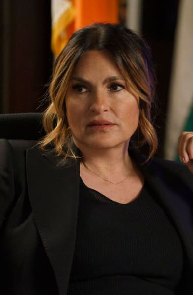 Justice for VIctims Worldwide - Law & Order: SVU Season 24 Episode 22