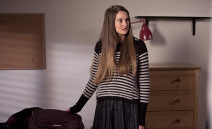 The Secret Life of the American Teenager Review: Dreams Divided