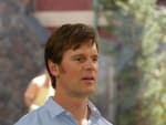 Peter Krause as Adam