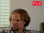 Kody Brown Photo - Sister Wives