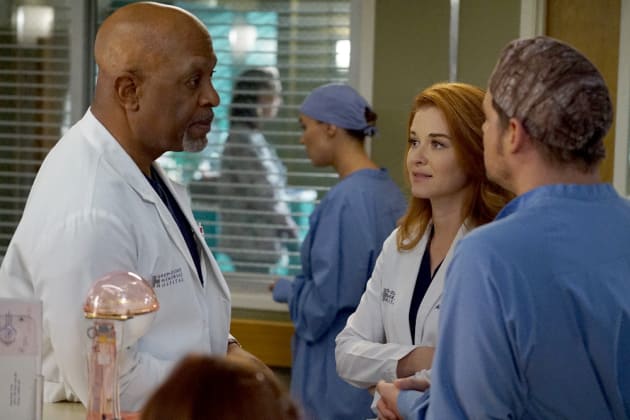 Guess Who's Back? - Grey's Anatomy Season 13 Episode 14