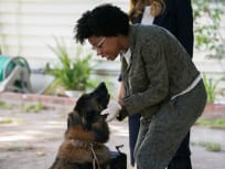 Kasie's Friend - NCIS