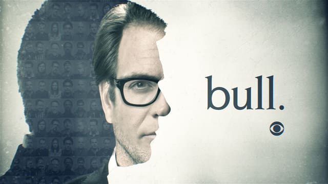 Bull - Renewed