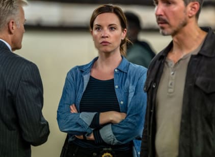 Law and order season 2 watch online sales