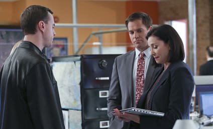 NCIS Boss Teases a New Gibbs, A Test for Bishop, A Decision for Tony