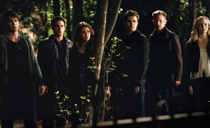 The Vampire Diaries Star and Creator Team for Vampire Academy TV Adaptation