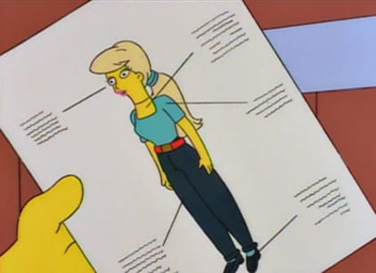 The simpsons hotsell season 5 online