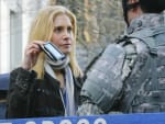 Elizabeth Mitchell as Erica Evans