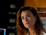 Ziva D. Pic