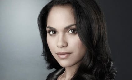 TV Fanatic Talk: An Interview with Lie to Me Star Monica Raymund