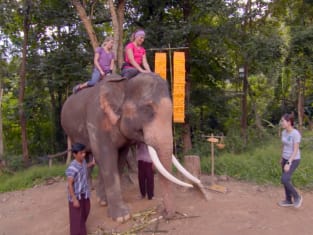 The Amazing Race Season 30 Episode 1