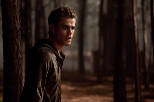 Stefan in the Woods