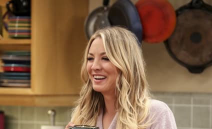 Watch The Big Bang Theory Online: Season 10 Episode 18