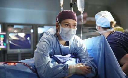 Grey's Anatomy Season 11 Episode 15 Review: I Feel the Earth Move