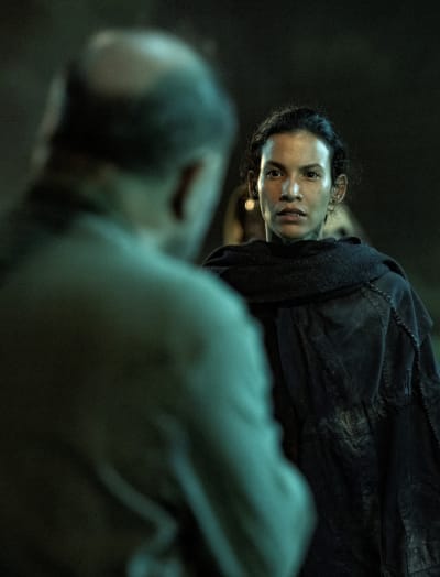Fear the best sale walking dead online