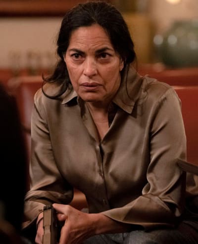 Sarita Choudhury Guest Stars - Law & Order: SVU Season 22 Episode 12