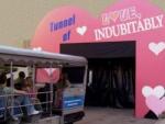 The Tunnel of Love Picture