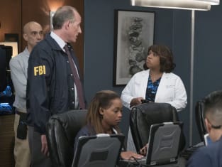 Grey's anatomy season hotsell 14 episodes online