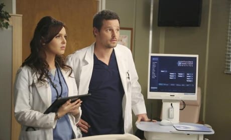Grey S Anatomy Season 9 Episode 15 Hard Bargain Photos Tv Fanatic