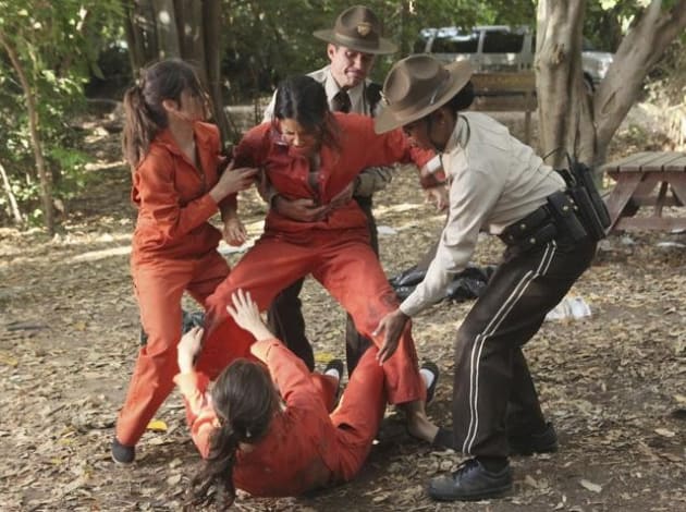 PLL Fight!