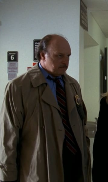 Dennis Franz as Andy Sipowicz