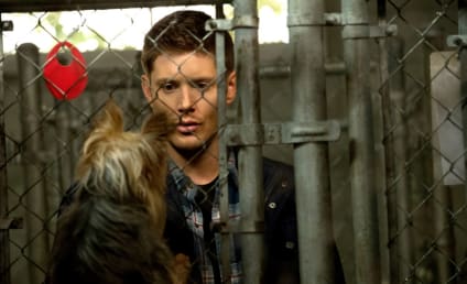 Supernatural Round Table: "Dog Dean Afternoon"