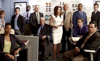 Major Crimes Cast: Where Are They Now?