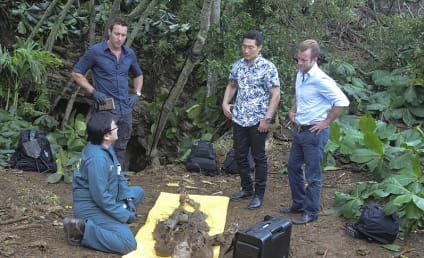 Hawaii Five-0 Season 6 Episode 1 Review: Do Not Disturb