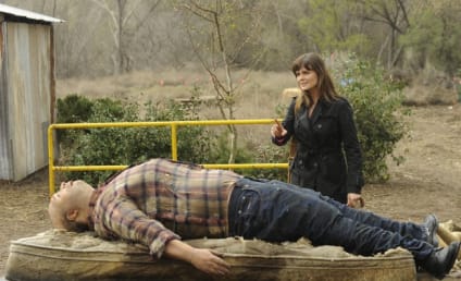 Bones Review: "The Feet on the Beach"