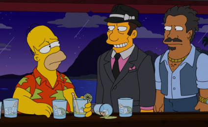 The Simpsons: Watch The Simpsons Season 25 Episode 16 Online