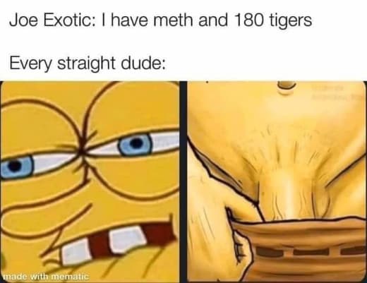 Tiger King meme 11