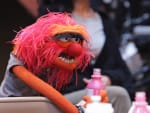 The Morning After - The Muppets