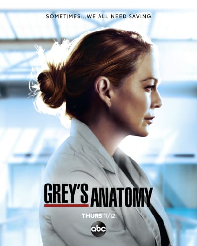 Grey's Anatomy Season 17 Poster