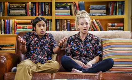 Watch The Big Bang Theory Online: Season 10 Episode 19
