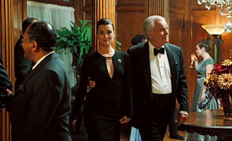 Ncis Season 8 Episode 7 Broken Arrow Photos Tv Fanatic Ziva returned for a dramatic storyline in season 17 when she came to warn leroy gibbs (mark harmon) and the team about a terrorist threat. ncis season 8 episode 7 broken arrow
