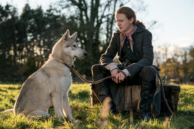 Rollo