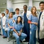 Grey's Anatomy Season 1 Quotes - TV Fanatic