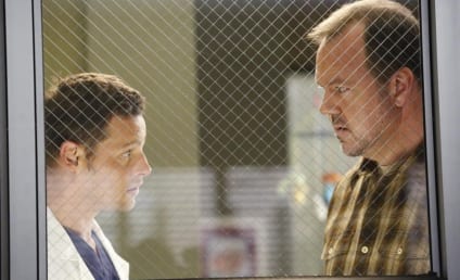 Grey's Anatomy Season 11 Episode 11 Review: All I Could Do Was Cry
