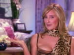 Sonja Gets a Roommate - The Real Housewives of New York City