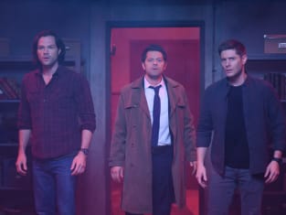 Supernatural season hotsell 14 online